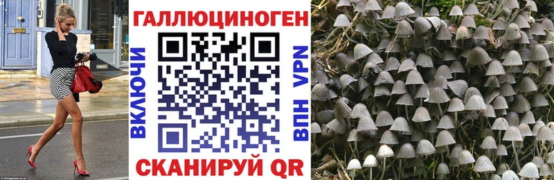 мориарти состав  закладка  Реутов  Галлюциногенные грибы Psilocybine cubensis 
